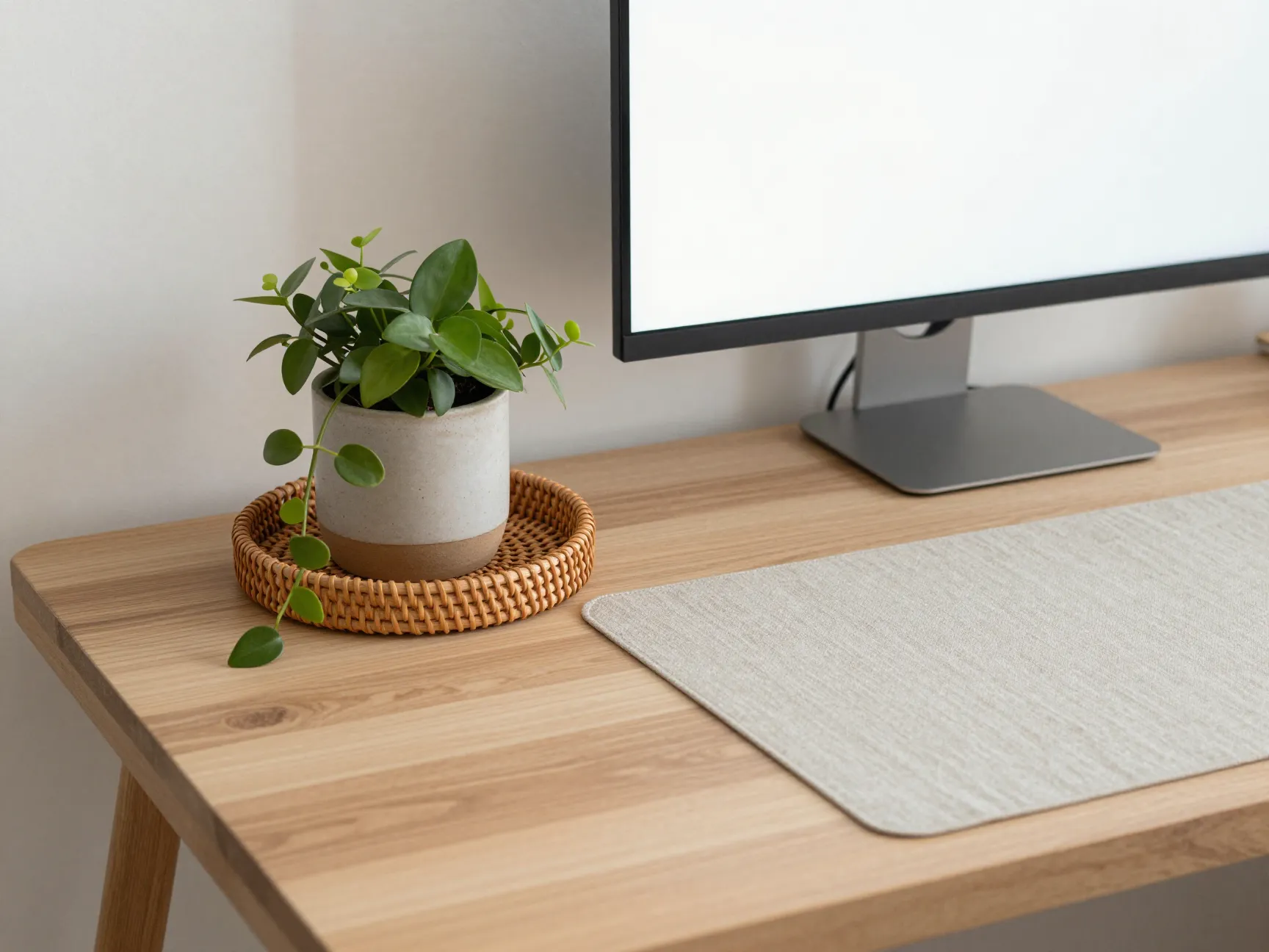 Organic minimalist biophilic battlestation