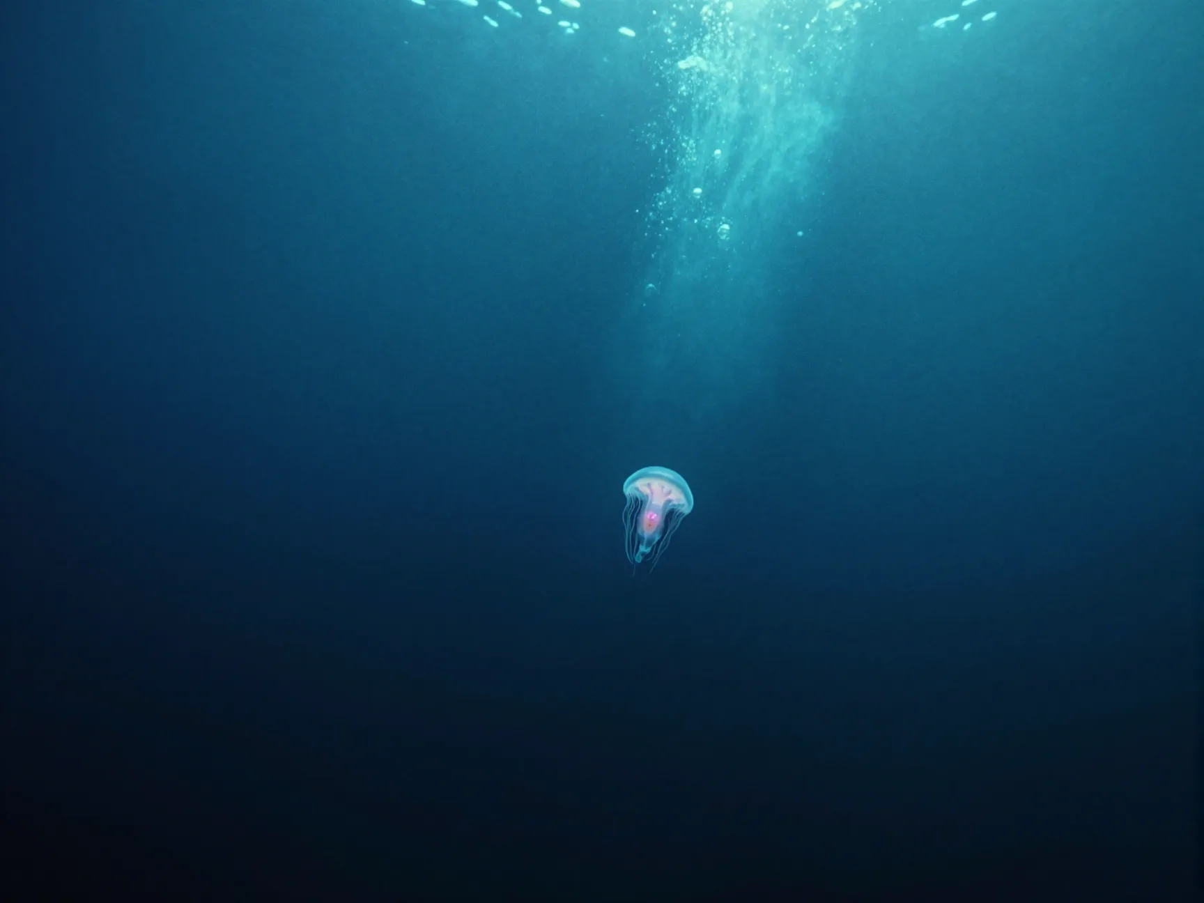 6 underwater abyss photography