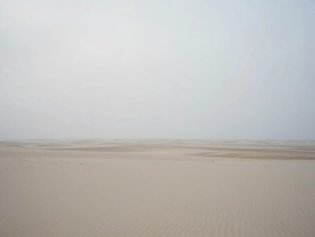 Neutral nature scenes misty beaches mountains and deserts