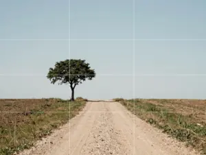 Read more about the article 6 Aesthetic Tips for When Your Phone is Taking a Picture