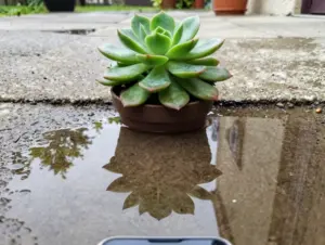 Read more about the article 6 Creative Phone Photography Ideas to Spark Your Imagination