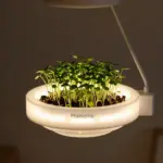 6 Must-Try 3D Printed Projects For Your Home, Workshop, and Hobby