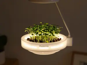 Read more about the article 6 Must-Try 3D Printed Projects For Your Home, Workshop, and Hobby