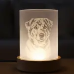 6 Cool Things To 3D Print That Will Impress Your Friends